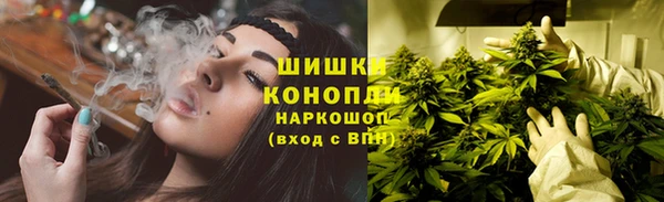 ГАЛЛЮЦИНОГЕННЫЕ ГРИБЫ Алзамай