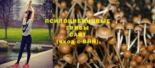 марки lsd Алексеевка