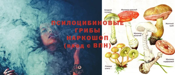ГАЛЛЮЦИНОГЕННЫЕ ГРИБЫ Алзамай